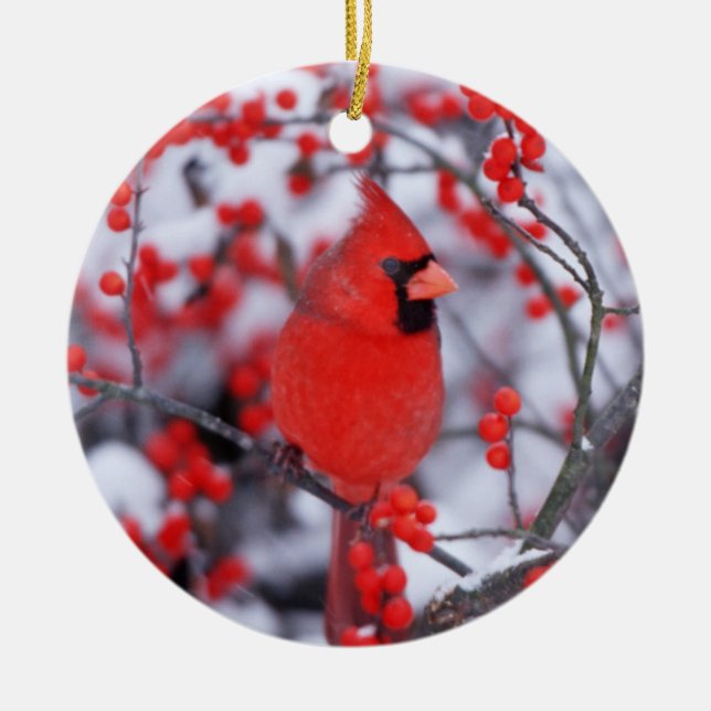 Northern Cardinal male, Winter, IL Ceramic Tree Decoration (Front)