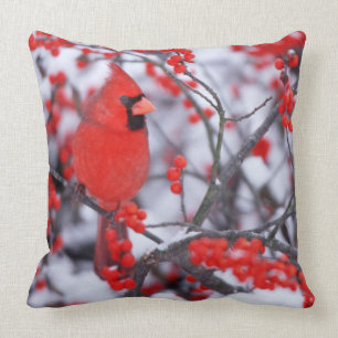 Northern Cardinal male, Winter, IL Cushion