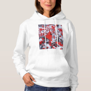 Northern Cardinal male, Winter, IL Hoodie