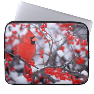 Northern Cardinal male, Winter, IL Laptop Sleeve
