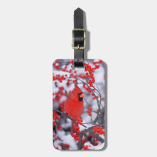 Northern Cardinal male, Winter, IL Luggage Tag
