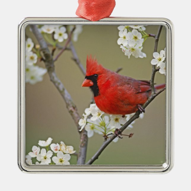 Northern Cardinal Metal Tree Decoration (Front)