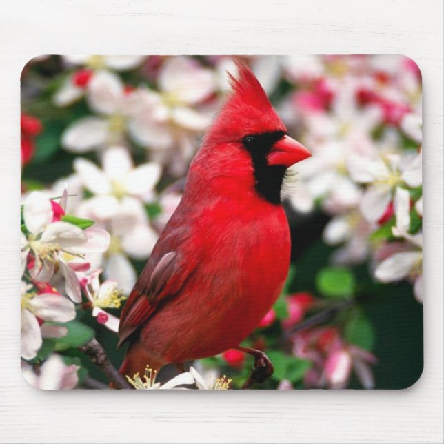 Northern Cardinal Mouse Mat (Front)