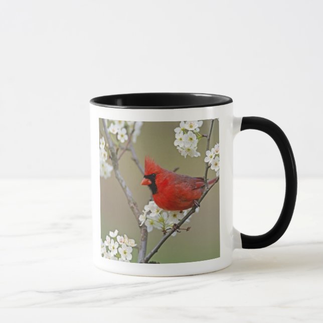 Northern Cardinal Mug (Right)
