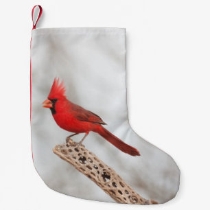 Northern Cardinal on a branch Small Christmas Stocking