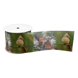 Northern Cardinal Pair Satin Ribbon