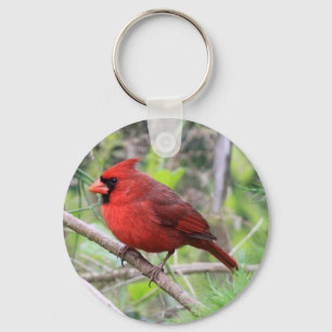Northern Cardinal Photo Key Ring