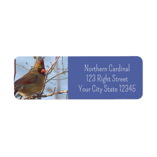 Northern Cardinal Photo Label  (Front)
