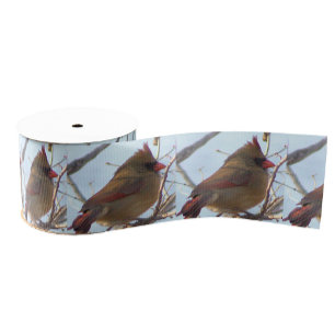 Northern Cardinal Photo Ribbon  Grosgrain Ribbon