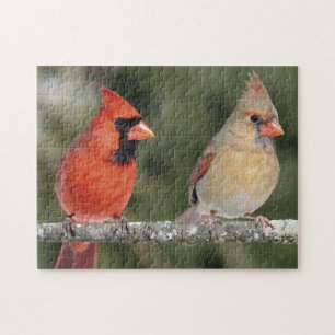 Northern Cardinal Photograph Puzzle