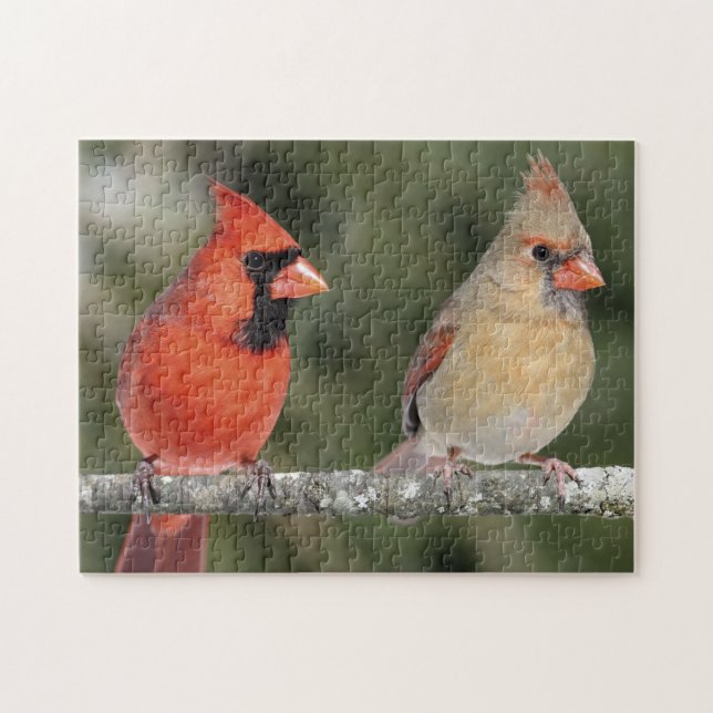 Northern Cardinal Photograph Puzzle (Horizontal)