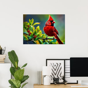 Northern Cardinal Poster