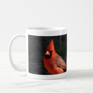 Northern Cardinal Red Bird Photography Coffee Mug