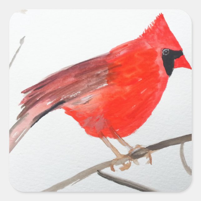 Northern cardinal red bird watercolor nature square sticker (Front)