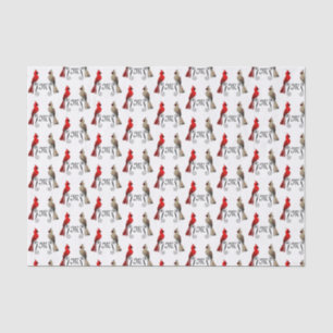 Northern Cardinal SongBird Tissue Paper
