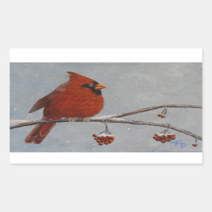 Northern Cardinal - Stickers