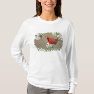 Northern Cardinal T-Shirt