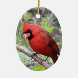 Northern Cardinal -- Traditional Christmas Bird Ceramic Tree Decoration