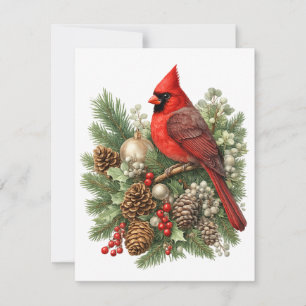 Northern Cardinal Winter Songbirds Collection  Card