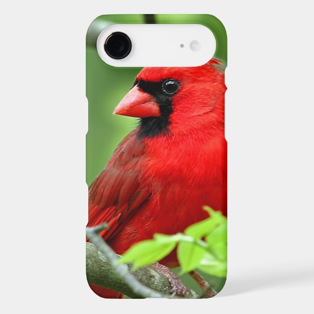 Northern cardinals Case-Mate iPhone case (Back)