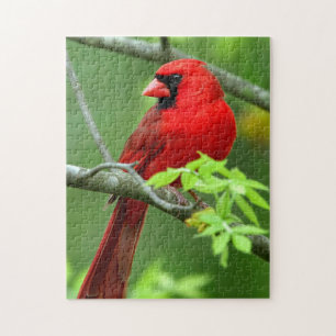 Northern cardinals jigsaw puzzle