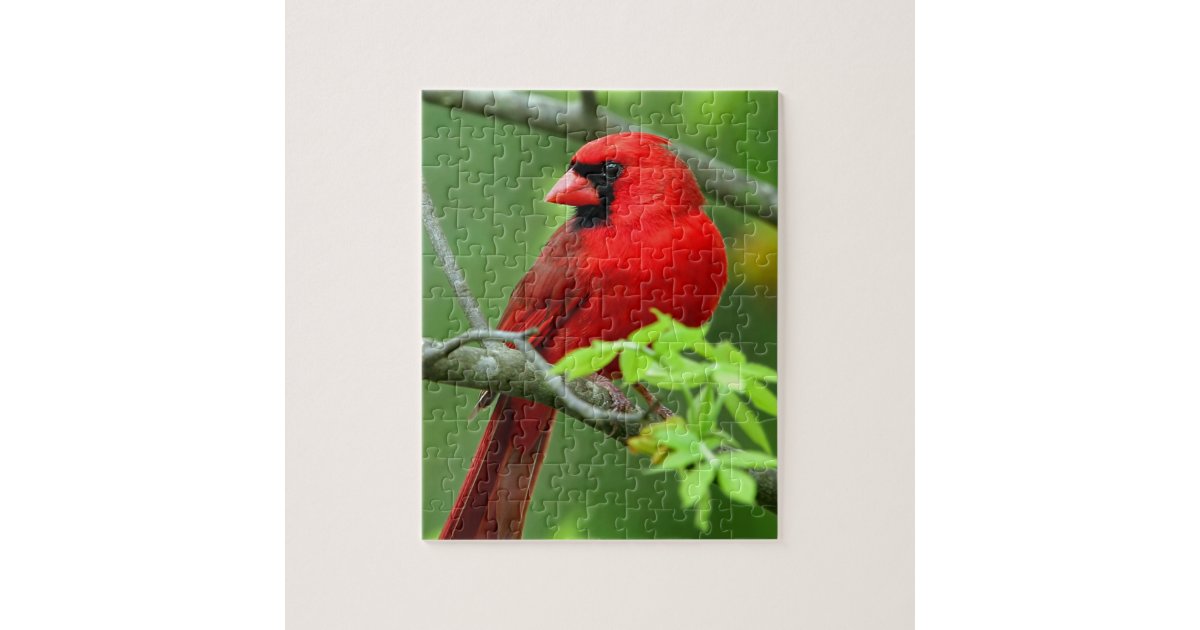Northern cardinals jigsaw puzzle Zazzle