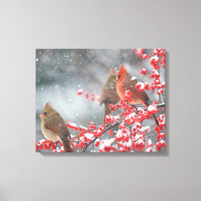 Northern Cardinals | Marion, Illinois Canvas Print (Front)