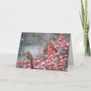 Northern Cardinals   Marion, Illinois Card