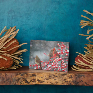 Northern Cardinals   Marion, Illinois Plaque