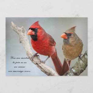 Northern Cardinals/Renewal of Marriage Vows Invitation