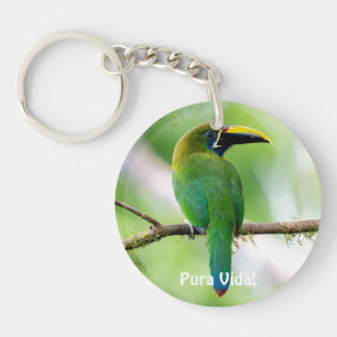 Northern Emerald-Toucanet & Blue Morpho Butterfly Key Ring