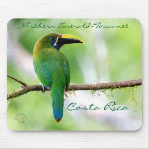 Northern Emerald-Toucanet in Costa Rica Mouse Mat