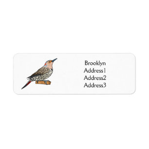 Northern flicker bird cartoon illustration