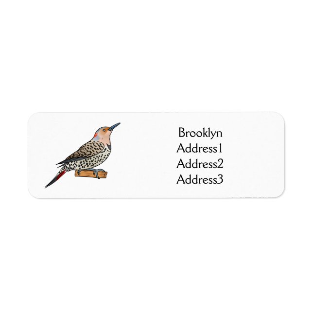 Northern flicker bird cartoon illustration (Front)