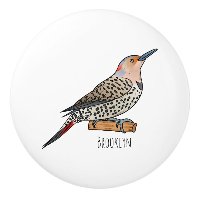 Northern flicker bird cartoon illustration ceramic knob (Front)