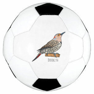 Northern flicker bird cartoon illustration  football