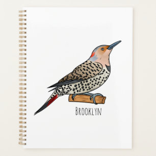 Northern flicker bird cartoon illustration planner