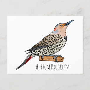 Northern flicker bird cartoon illustration postcard
