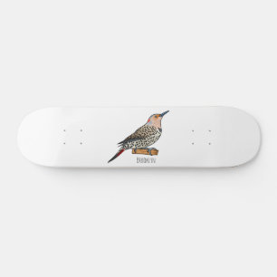 Northern flicker bird cartoon illustration skateboard