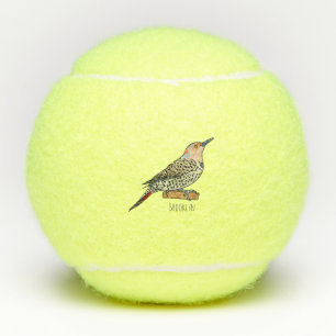 Northern flicker bird cartoon illustration  tennis balls
