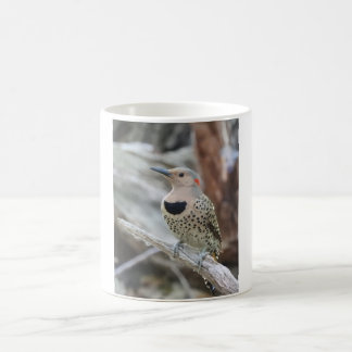 Northern Flicker Mug 