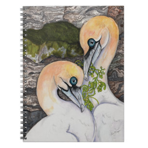 Northern Gannet Birding Notebook