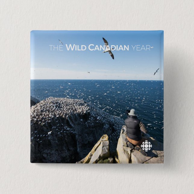 Northern Gannets 15 Cm Square Badge (Front)