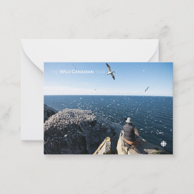 Northern Gannets Card (Front)