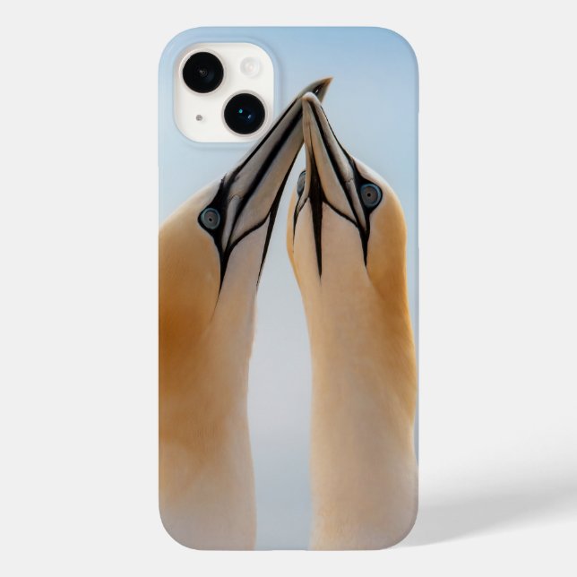 Northern Gannets Heligoland Germany Morus Case-Mate iPhone Case (Back)