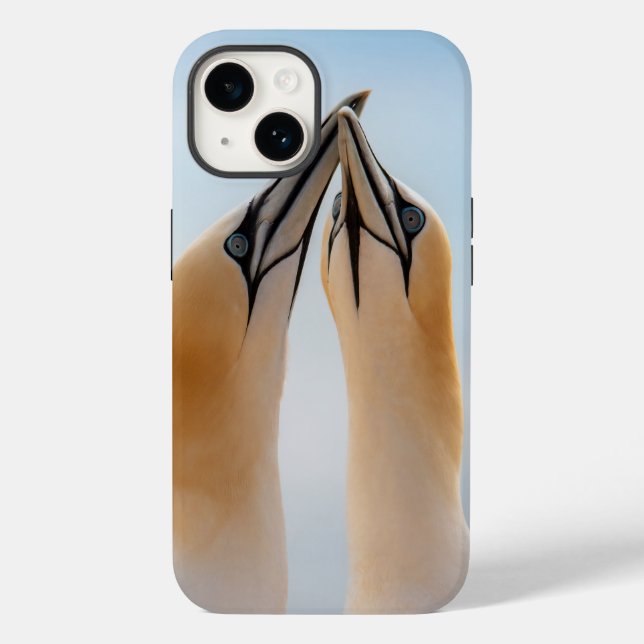 Northern Gannets Heligoland Germany Morus Case-Mate iPhone Case (Back)