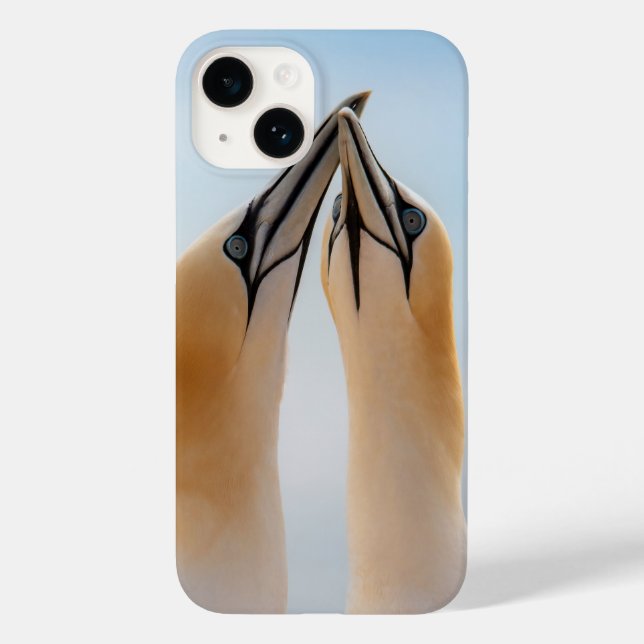 Northern Gannets Heligoland Germany Morus Case-Mate iPhone Case (Back)