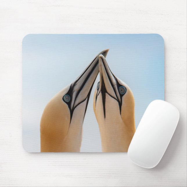 Northern Gannets Heligoland Germany Morus Gel Mous Mouse Mat (With Mouse)