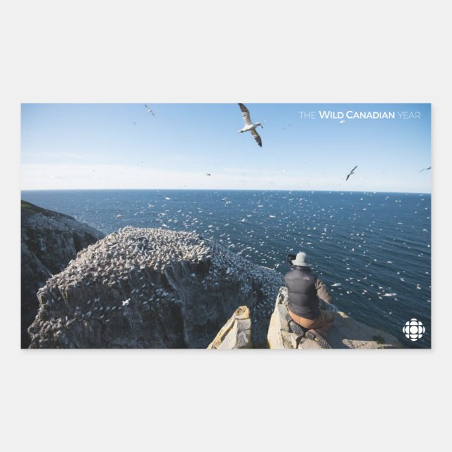 Northern Gannets Rectangular Sticker (Front)