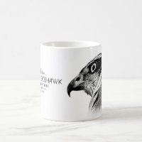 Northern Goshawk